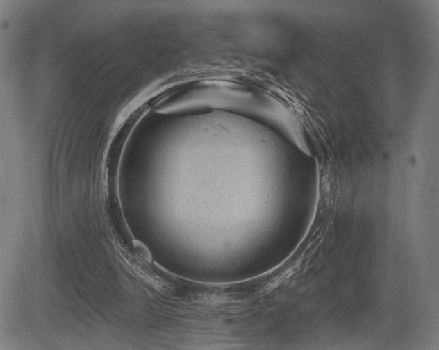 X0000083610246200702121122