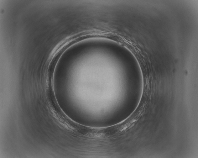 X0000083610247200702121122