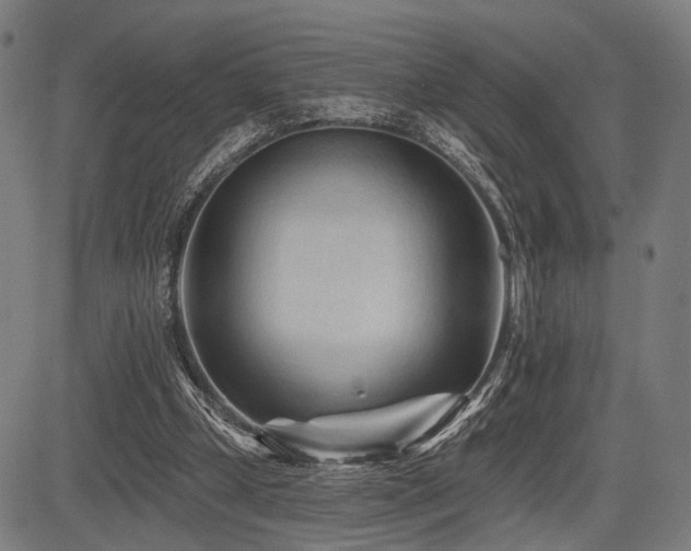 X0000083610249200702121122