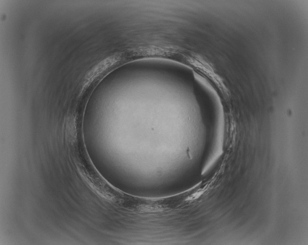 X0000083610250200702121122