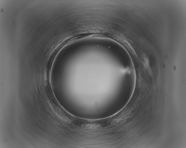 X0000083610251200702121122