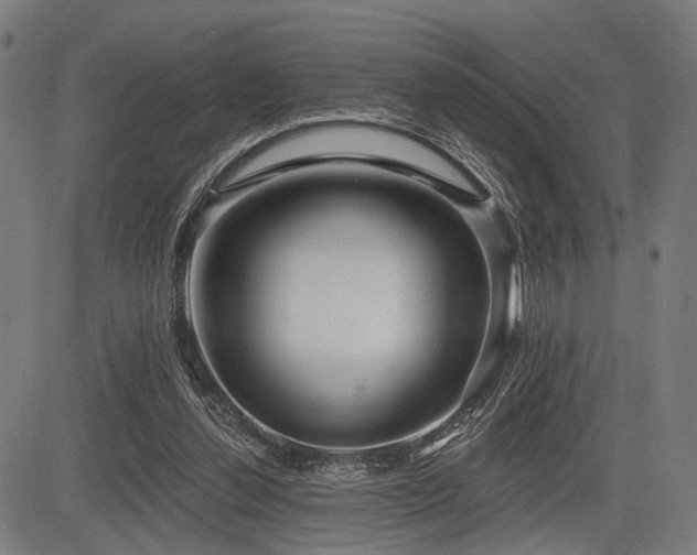 X0000083610252200702121122