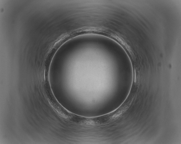 X0000083610253200702121122