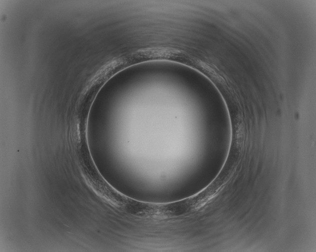 X0000083610254200702121122