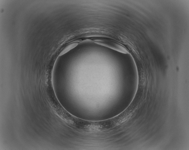 X0000083610255200702121122