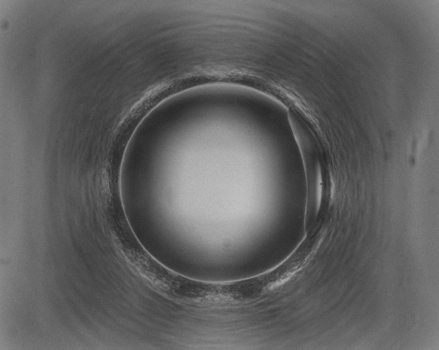 X0000083610256200702121122