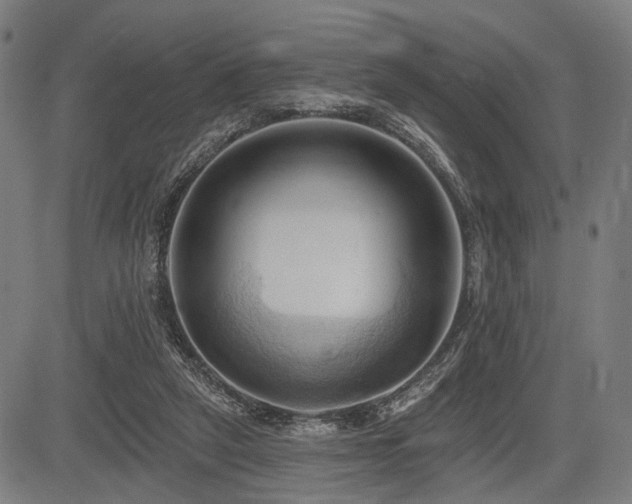 X0000083610257200702121122