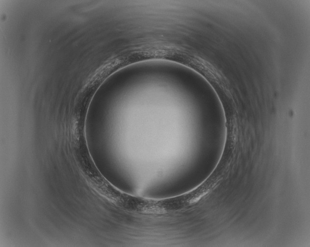 X0000083610258200702121122