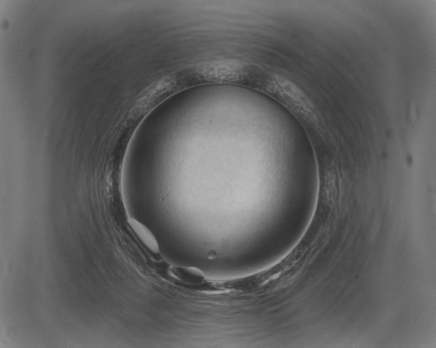 X0000083610259200702121122