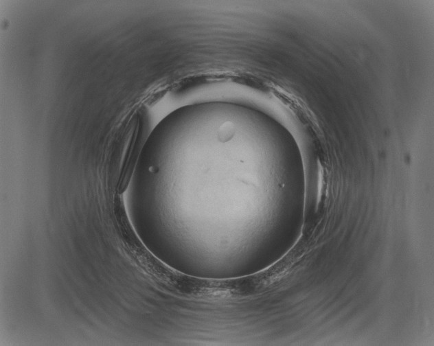 X0000083610260200702121122