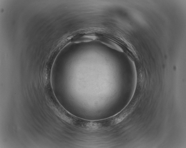 X0000083610261200702121122