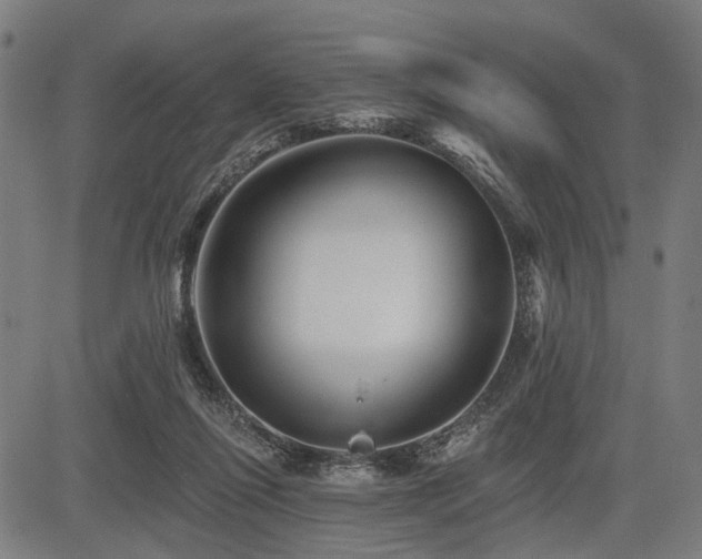 X0000083610262200702121122