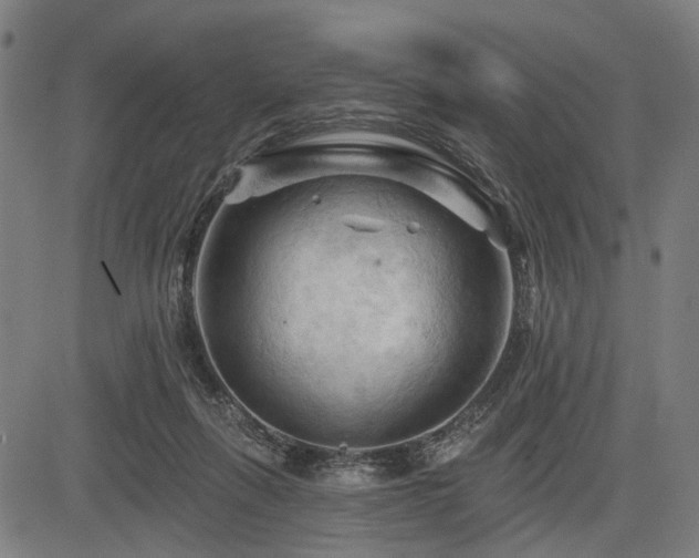 X0000083610263200702121122