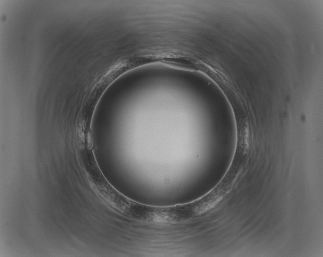 X0000083610264200702121122