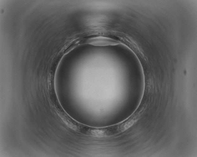 X0000083610265200702121122