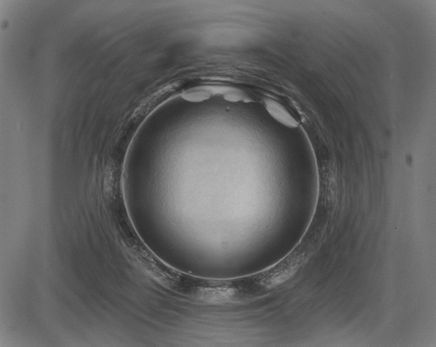 X0000083610266200702121122