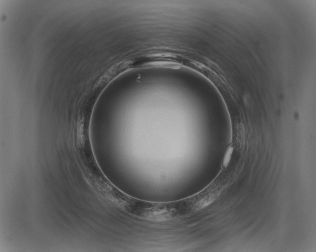 X0000083610267200702121122