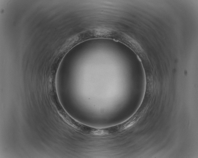 X0000083610269200702121123