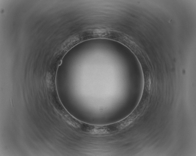 X0000083610270200702121123