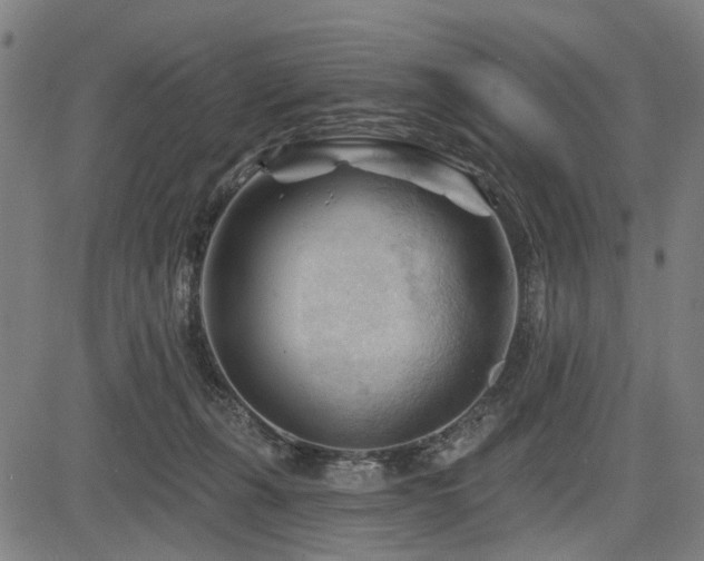 X0000083610271200702121123