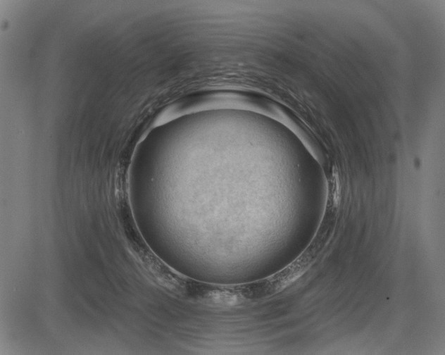 X0000083610272200702121123