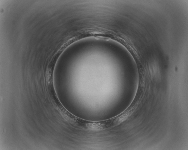 X0000083610273200702121123