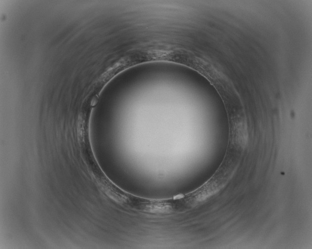 X0000083610274200702121123