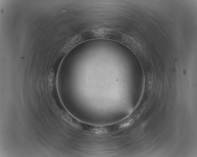 X0000083610275200702121123