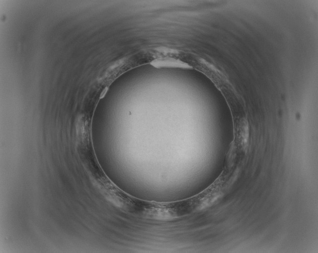 X0000083610276200702121123