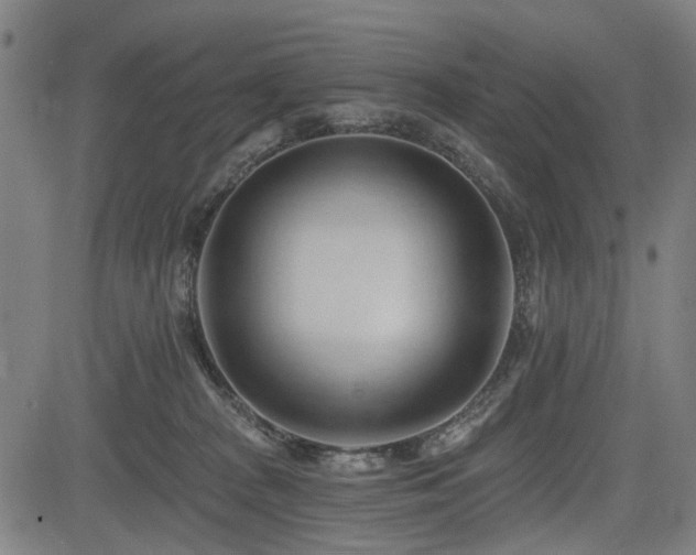 X0000083610277200702121123