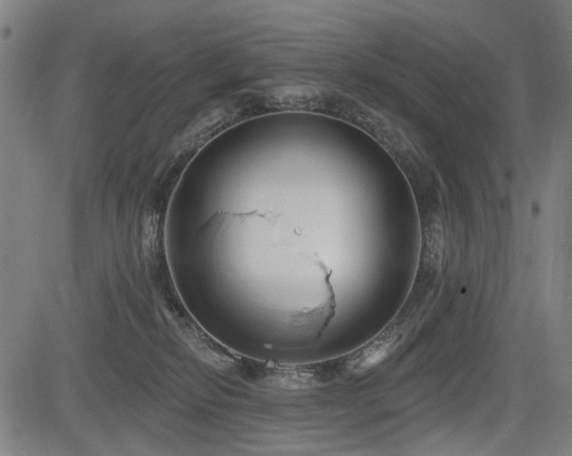 X0000083610278200702121123