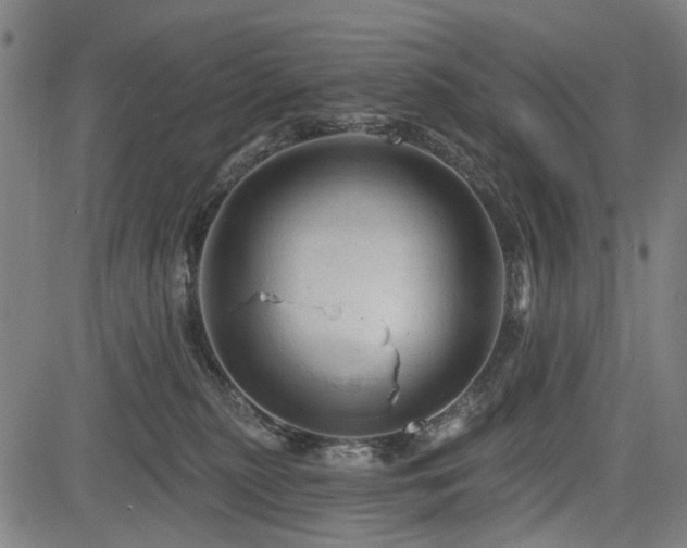 X0000083610279200702121123