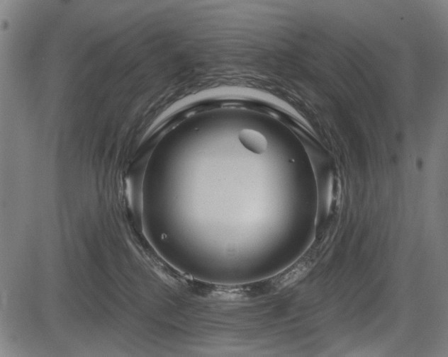 X0000083610280200702121123