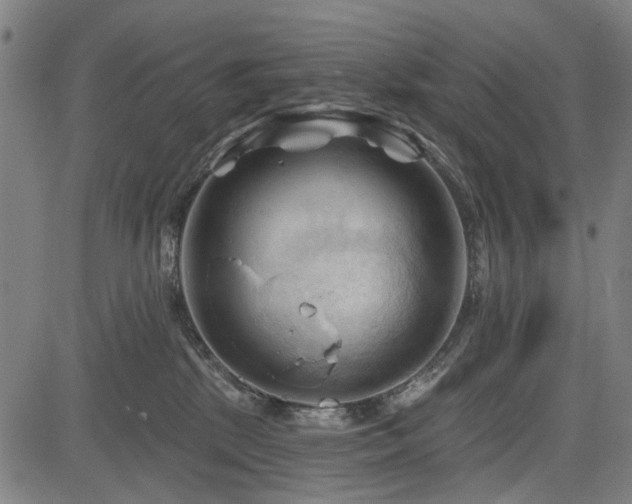 X0000083610281200702121123