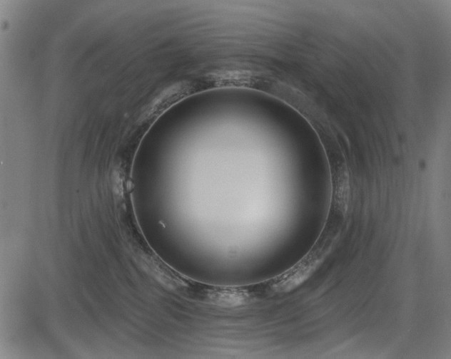 X0000083610282200702121123