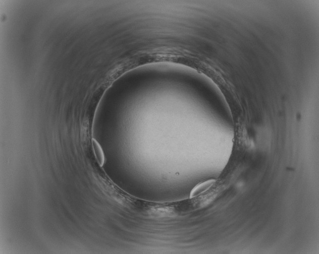 X0000083610283200702121123