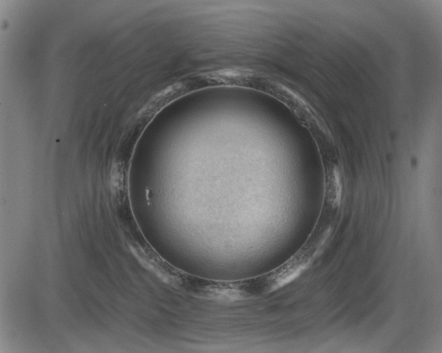 X0000083610284200702121123