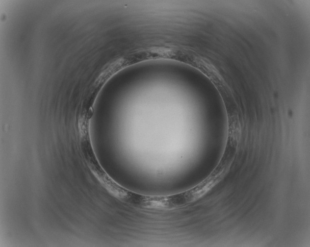 X0000083610285200702121123