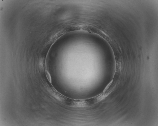 X0000083610286200702121123