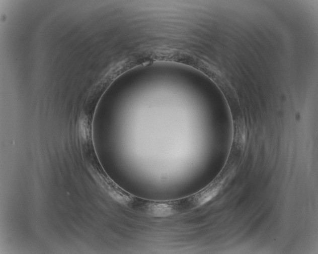 X0000083610287200702121123