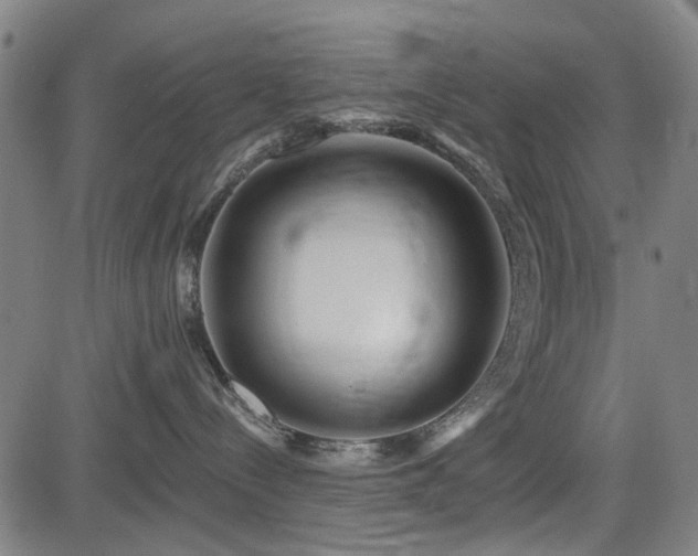 X0000083610288200702121123