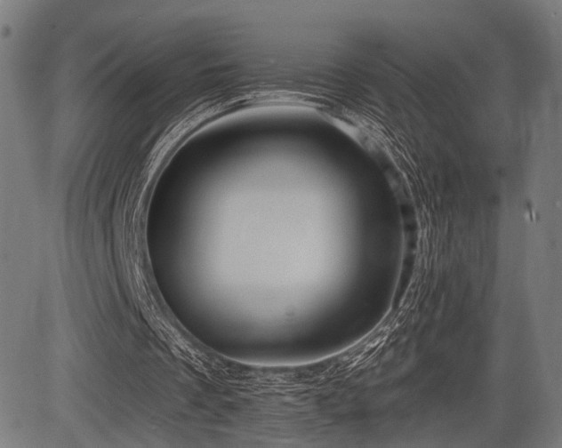 X0000083610289200702121122