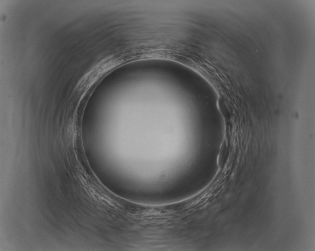 X0000083610290200702121122