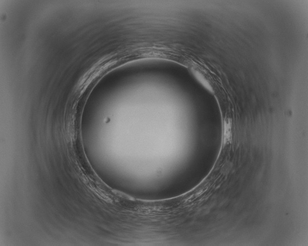 X0000083610291200702121122