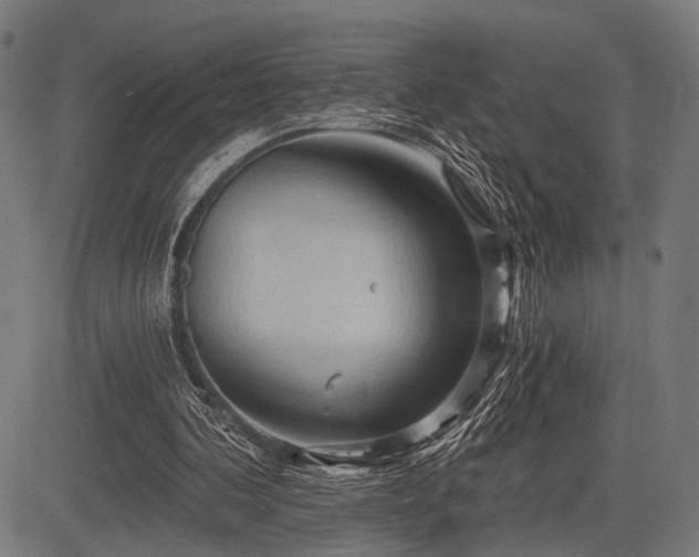 X0000083610292200702121122