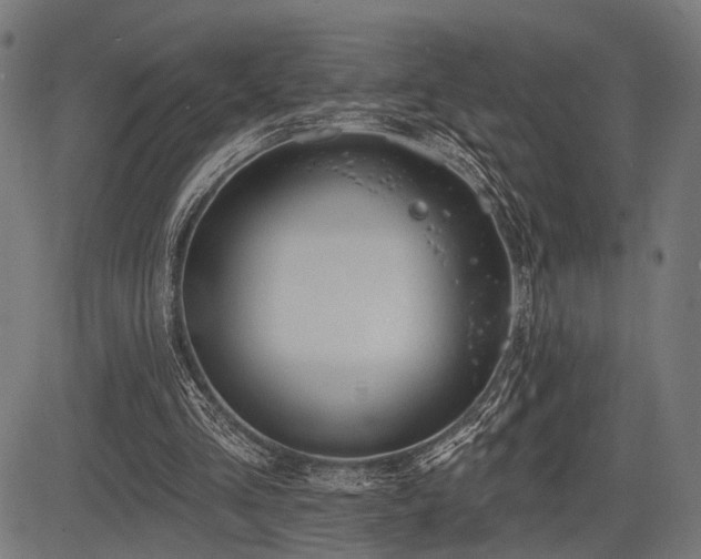 X0000083610293200702121122