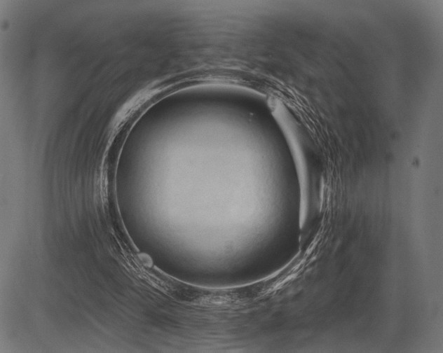 X0000083610294200702121122