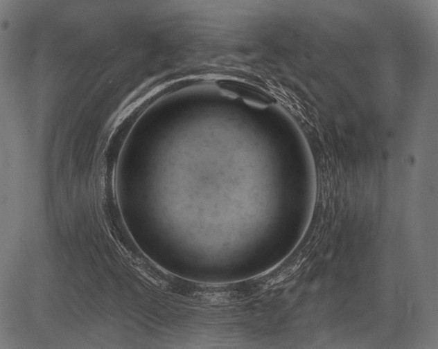 X0000083610295200702121122