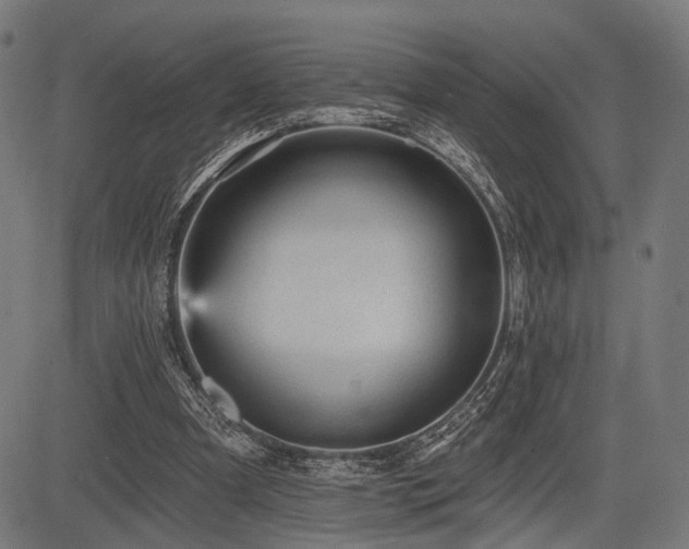 X0000083610297200702121122