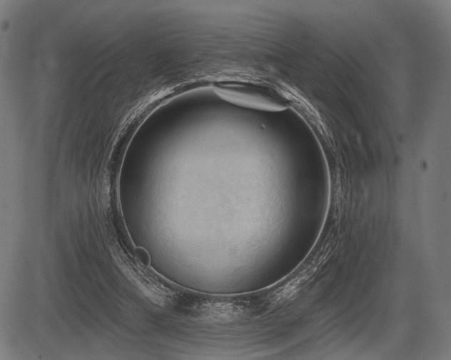 X0000083610298200702121122